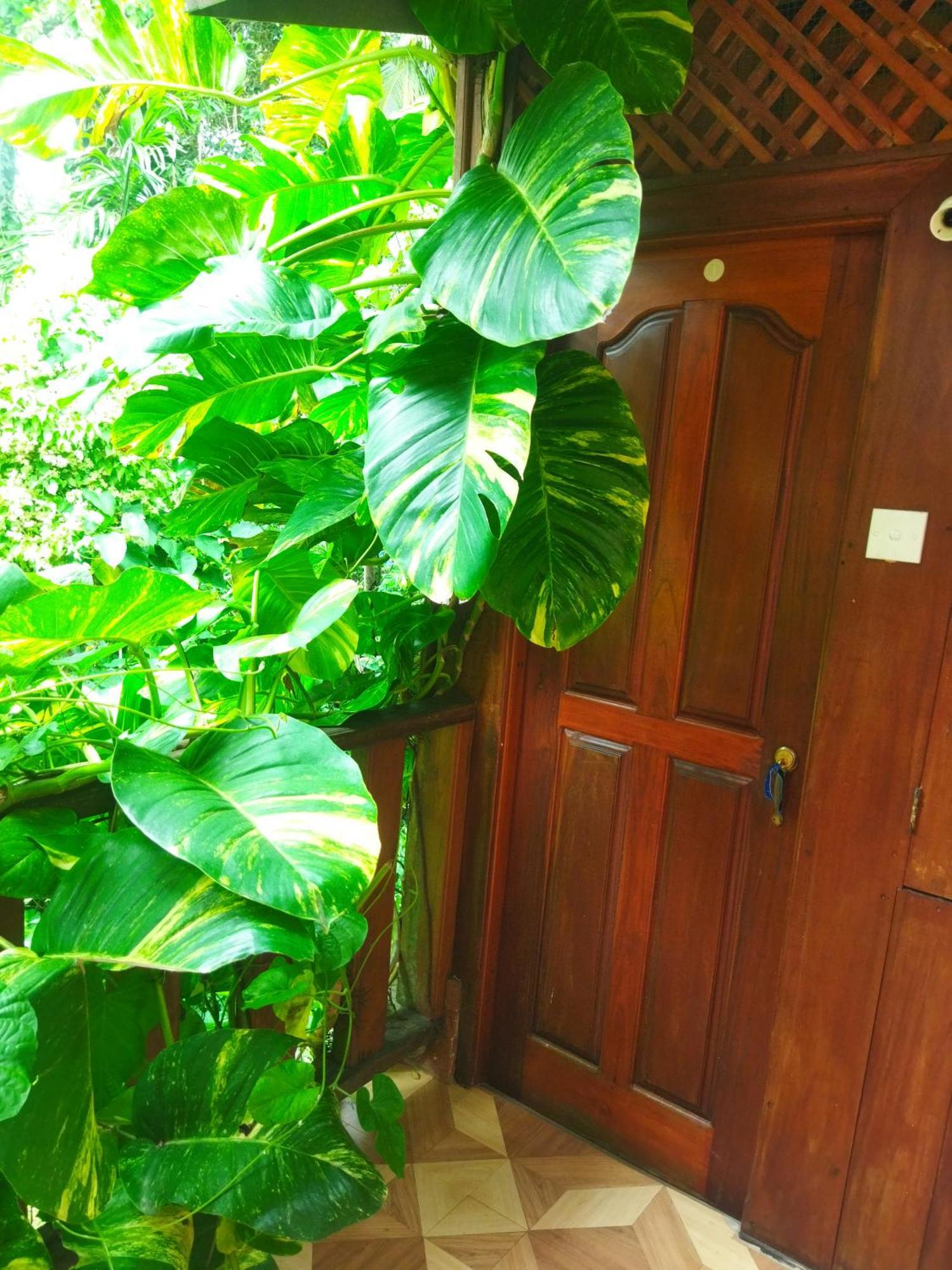 Gold Ocean House Apartment Dikwella Phòng bức ảnh