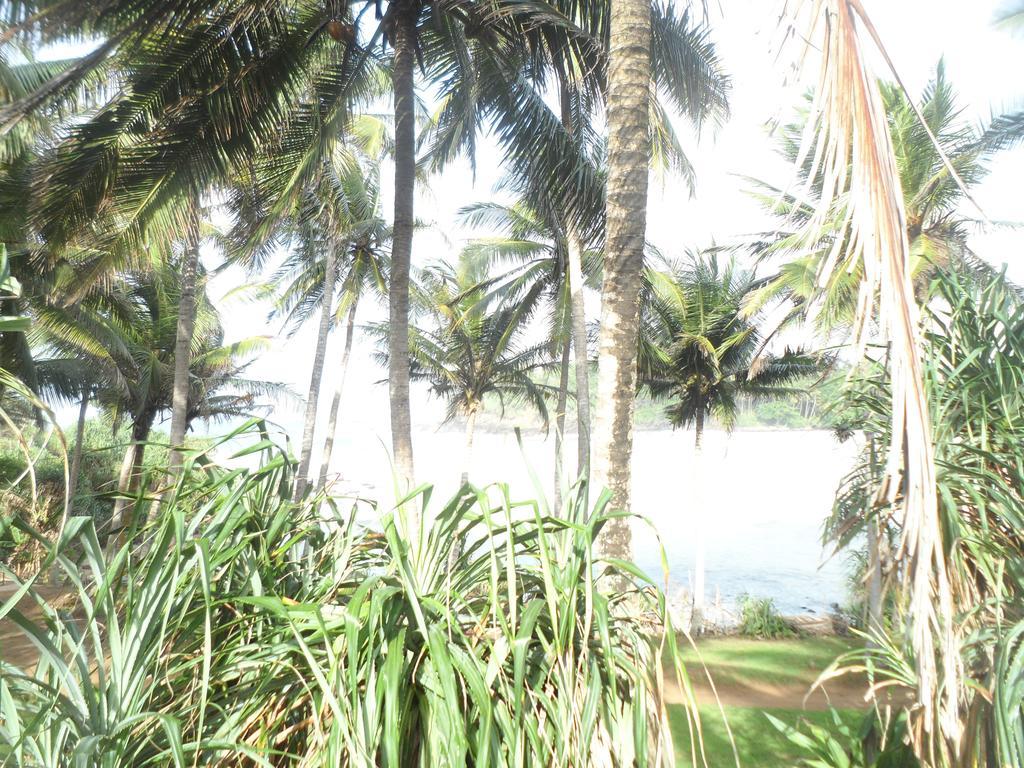 Gold Ocean House Apartment Dikwella Ngoại thất bức ảnh